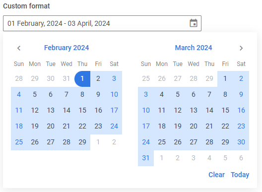 DateRangePicker custom format